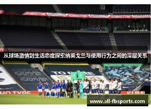 从球场激情到生活态度探索纳英戈兰与使用行为之间的深层关系