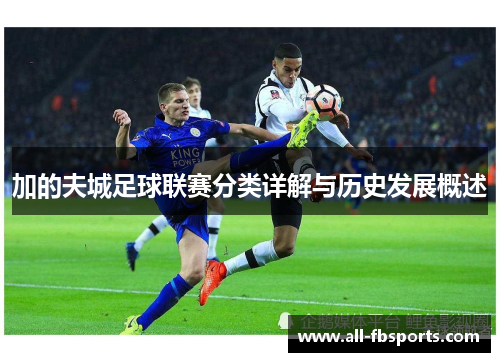 加的夫城足球联赛分类详解与历史发展概述 加的夫城足球联赛分类详解与历史发展概述