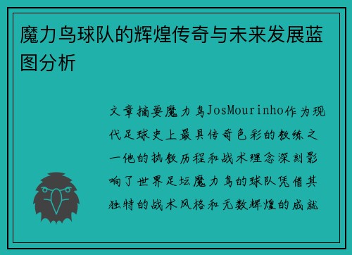 魔力鸟球队的辉煌传奇与未来发展蓝图分析